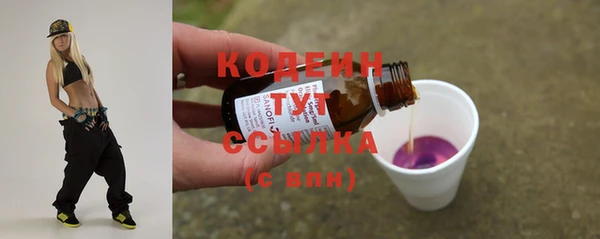хмурый Надым