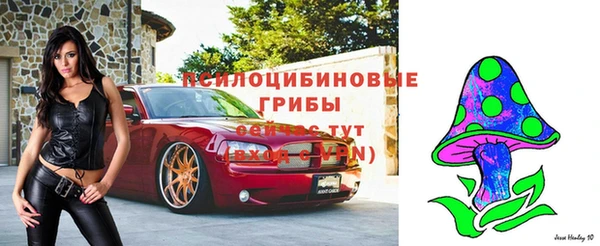 меф Михайловск