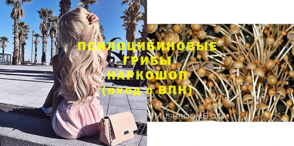 дживик Михайлов