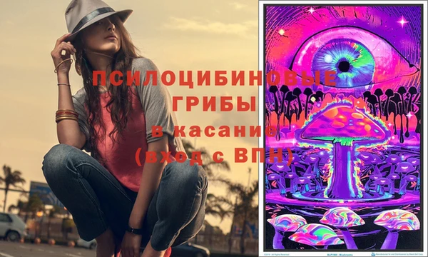 дживик Михайлов