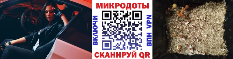 Галлюциногенные грибы прущие грибы  Пудож 